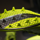 Image for article titled How 3D Printing Supercharged Nike's New Super Bowl Cleat